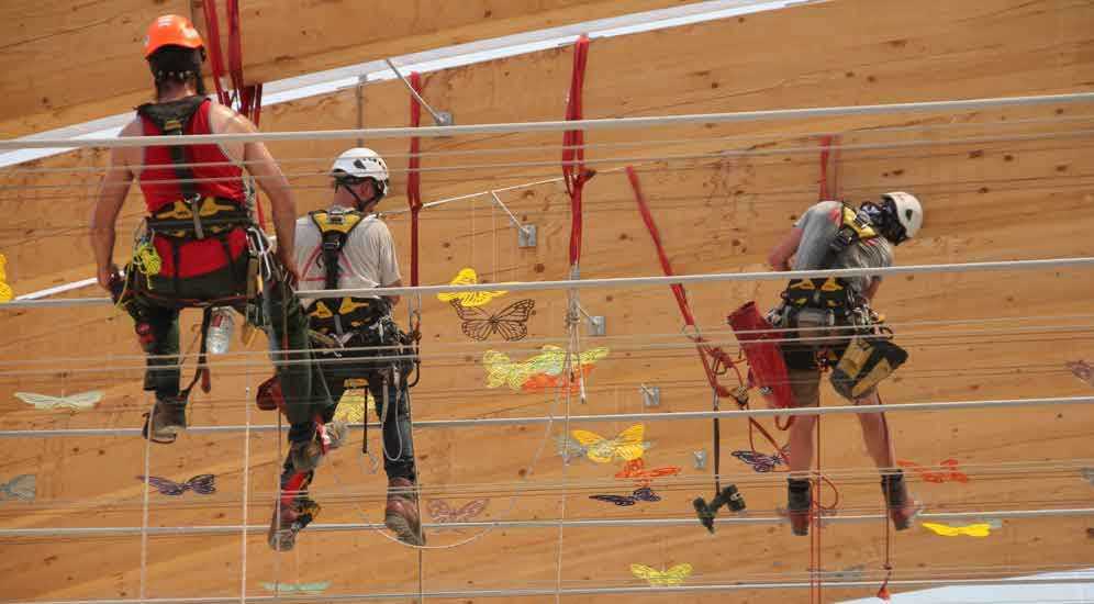 Vlinders ophangen in Luxemburg
